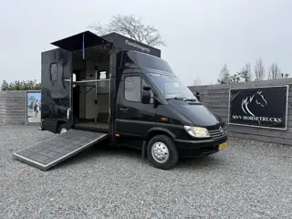 Mercedes-Benz Sprinter PAARDENWAGEN | HORSETRUCK | TVW | CLASSIC 3XL | 2001 | 180.850KM | AUTOMAAT |