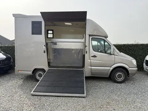 Mercedes-Benz Sprinter PAARDENWAGEN | HORSETRUCK | RC | CLASSIC 3XL | 2009 | 3-SEAT | MANUEEL | VEEL