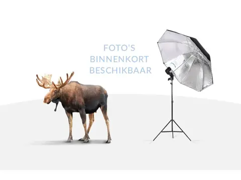 Tesla Model 3 Standard RWD Plus 60 kWh | FSD | 94% SoH