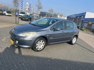Peugeot 307 1.6-16V Oxygo