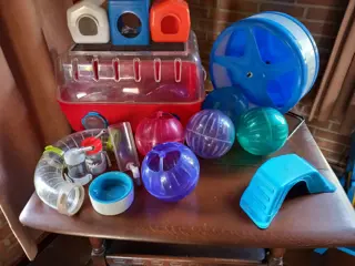 Hamster / cavia kooi met veel extra''s