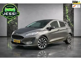 Ford Fiesta 1.0 EcoBoost Hybrid Titanium X | Panorama dak | Achteruitrijcamera