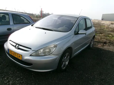 Peugeot 307 2.0-16V Griffe AUTOMAAT Nieuwe APK (bj 2005)