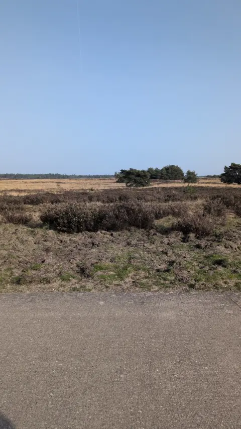 Man 72 wil graag mailen