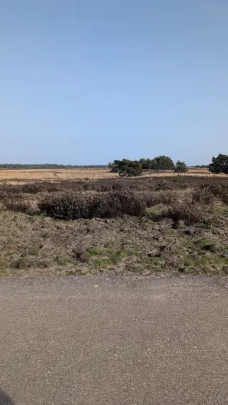 Man 72 wil graag mailen