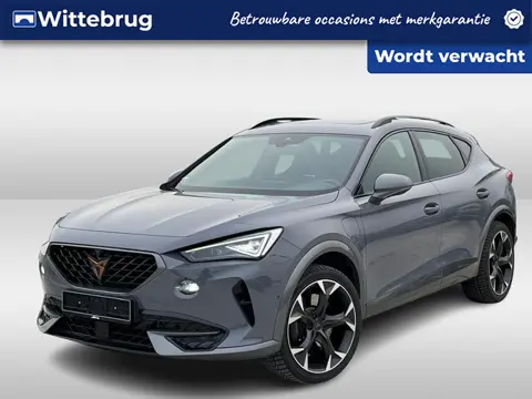 CUPRA Formentor 1.4 e-Hybrid 245pk Black Edition DSG Automaat / Panorama dak / Black Leder / LM 19 i
