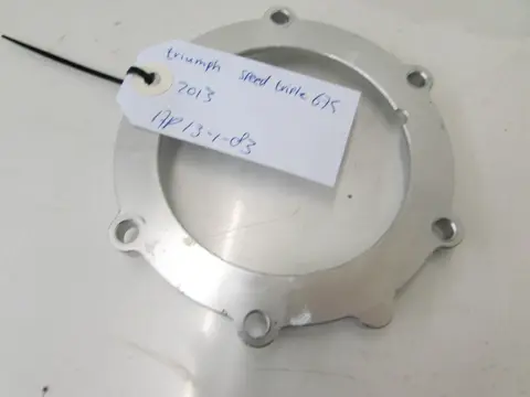 BRANDSTOFPOMP Triumph 675 Street Triple R 2013 - 2016