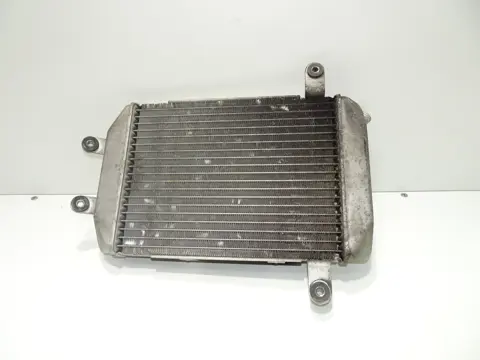 Radiator Suzuki Burgman 400 1998 - 2000
