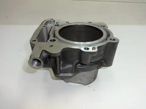 CILINDERBLOK Aprilia RSV 1000 1998 - 2000 / 2001 - 2003