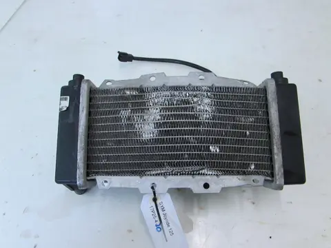 RADIATEUR Overig Onbekend Unknown 1950 - 2011