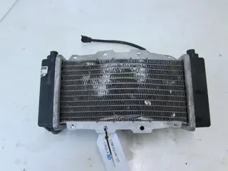 RADIATEUR Overig Onbekend Unknown 1950 - 2011