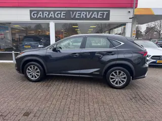 Lexus NX 300h AWD Business Line (bj 2020, automaat)