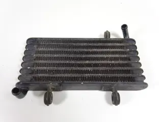 OLIEKOELER Aprilia RST 1000 Futura 2001 - 2004