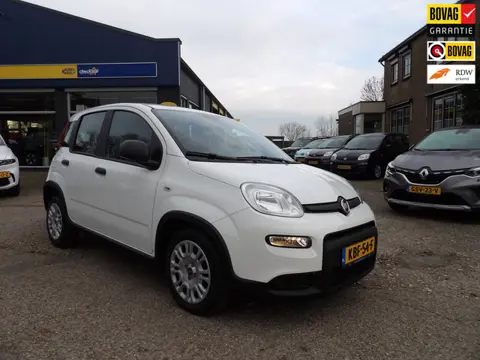 Fiat Panda 1.0 Hybrid 5-drs / Airco / Rijklaarprijs