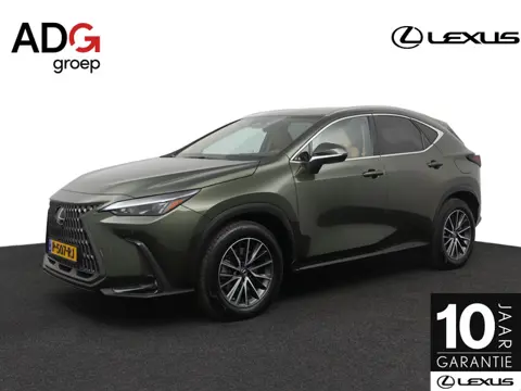 Lexus NX 450h+ AWD Launch Edition | 1e eigenaar| Afn. Trekhaak | Stoelkoeling | Head-Up Display