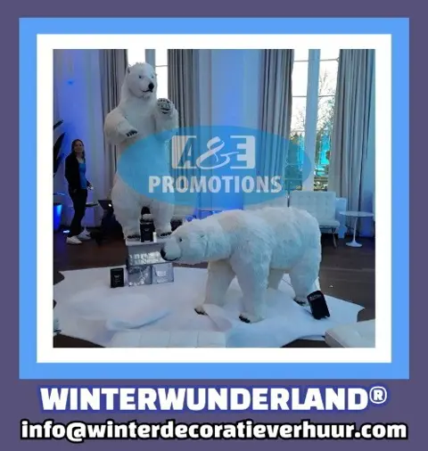 Huur wintersprookje etalering brugge gent