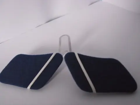 Kraagspiegels,Nederland,WWII,Staats,Politie