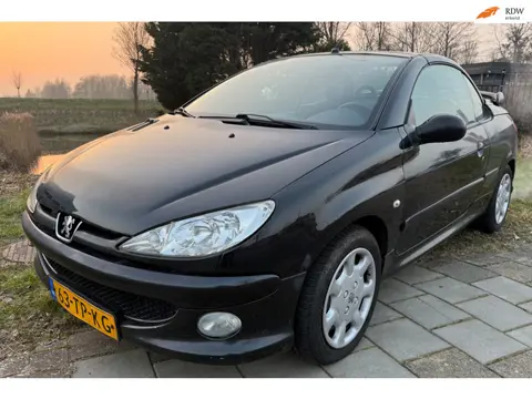 Peugeot 206 CC 1.6-16V opknapper blanke lak schade