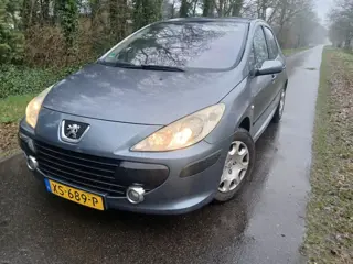 Peugeot 307 1.6-16V D.Sign