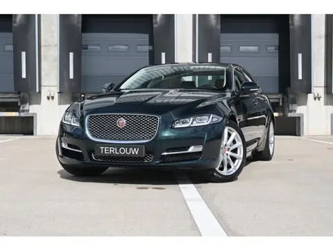 Jaguar XJ 3.0 D Premium Luxury (bj 2019, automaat)