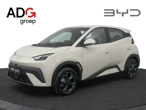 BYD DOLPHIN SURF Boost 43 kWh