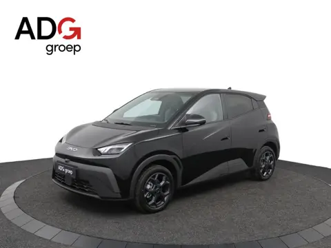 BYD DOLPHIN SURF Boost 43 kWh |Elektrisch verstelbare voorstoelen​|  322 km WLTP |  Blade Battery| 1