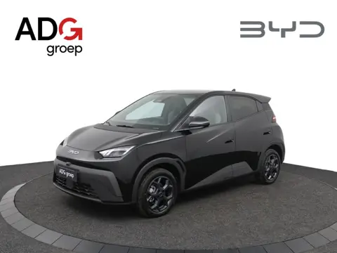 BYD DOLPHIN SURF Comfort 43 kWh / Tijdelijk met 2000 inruilpremie! /  360° camera / 310 KM / Apple C