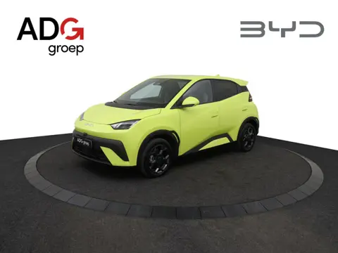 BYD DOLPHIN SURF Comfort 43 kWh / Tijdelijk met 2000 inruilpremie! /  360° camera / 310 KM / Apple C