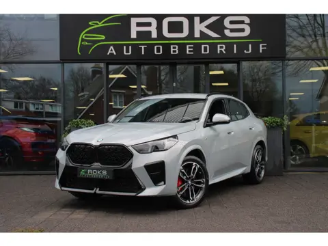 BMW X2 sDrive20i M-Sport Pro Shadowline/Camera/Keyless/HarmanKardon/Memory/Sfeerverlichting/leder/19