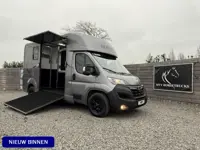 Opel Movano PAARDENWAGEN | HORSETRUCK | STX AKX 3XL | 2023 | HENGST | 59.101KM | LEER | CAMERA | 3-S