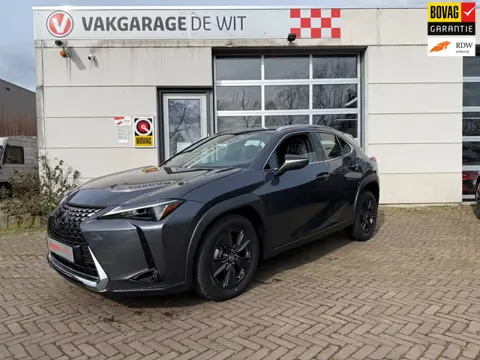 Lexus UX 250h Urban Line