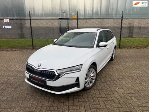 Skoda Octavia 1.5 TSI Business Edition Plus