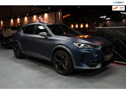 Cupra FORMENTOR VZ 2.0 TSI QUATTRO|PANO|LEDER|FULL