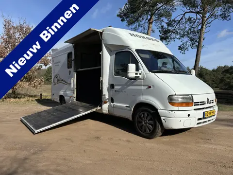 Renault MASTER 2-paards paardenvrachtwagen XXL B-rijbewijs!