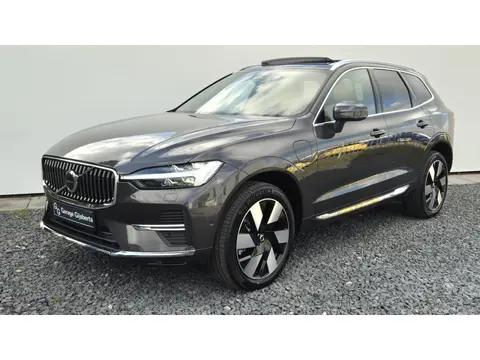 Volvo XC60 2.0 T6 Phev AWD Ultra Bright Panorama Dak - 20” Wielen -  Bowers &Wilkins Audio - 360 Cam