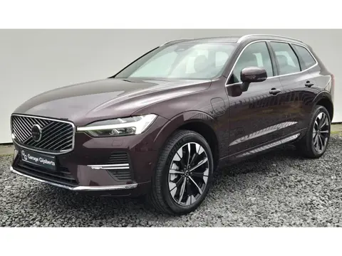 Volvo XC60 2.0 T6 Phev AWD Ultra Bright MY 2026 -  20” Wielen - Panoramadak - Lighting –Head up - Ha