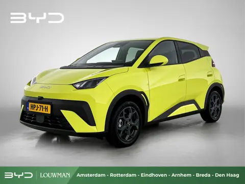 BYD DOLPHIN SURF Comfort 43 kWh | Full EV | Grootste BYD Dealer van NL | 360 camera |