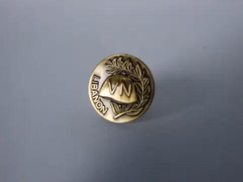 Embleem,Pin,VN,UN