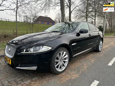 Jaguar XF 2.2D Premium Business Edition, automaat ,leer ,nap, nieuwe apk