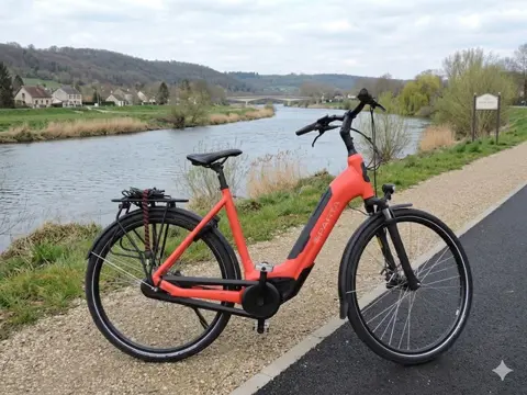 Sparta C-Grid Framemaat 57 cm 500 WH accu