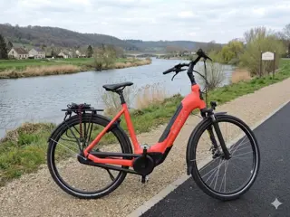 Sparta C-Grid Framemaat 57 cm 500 WH accu