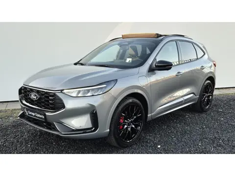 Ford Kuga 2.5 PHEV ST-Line X 2026 - Black Pack - Winter Pack - Panorama Dak -  Head Up - 360 Camera 