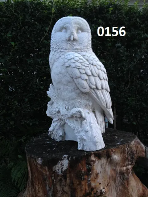 Witte Steen Uil op stam. nr 0156.