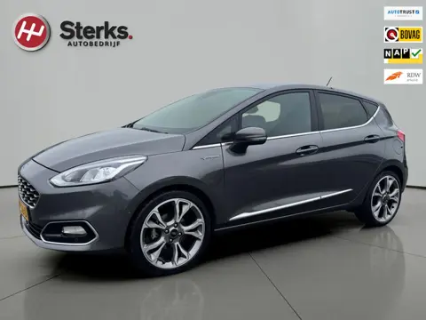Ford Fiesta 1.0 EcoBoost Vignale 125 PK WINTER PAKKET LEDER CAMERA PARKEERHULP