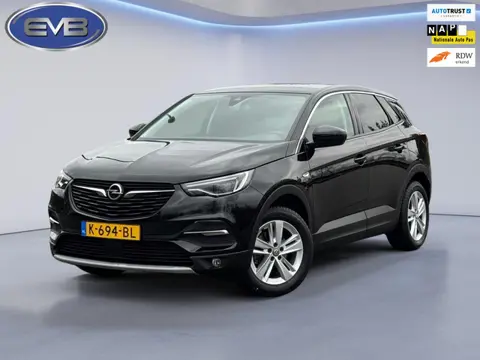 Opel Grandland X 1.2 Turbo Business Executive, achteruitrijcamera,trekhaak, 1/2 lederen sportinterie