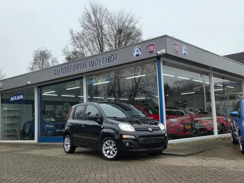 Fiat Panda 1.2 Lounge (bj 2017)