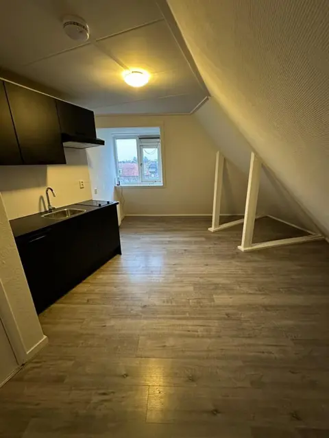 Te huur 2 kamer appartement Krabbenbosweg, Hengelo