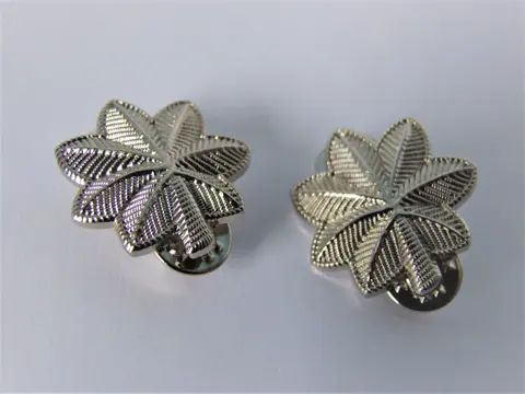 Embleem,Badge,Rang,Set,US,Army,Luitenant,Colonel