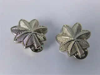 Embleem,Badge,Rang,Set,US,Army,Luitenant,Colonel