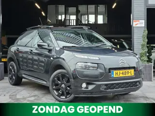 Citroen C4 Cactus 1.2 PureTech|Camera|Cruise|2e eig|NAP|PDC